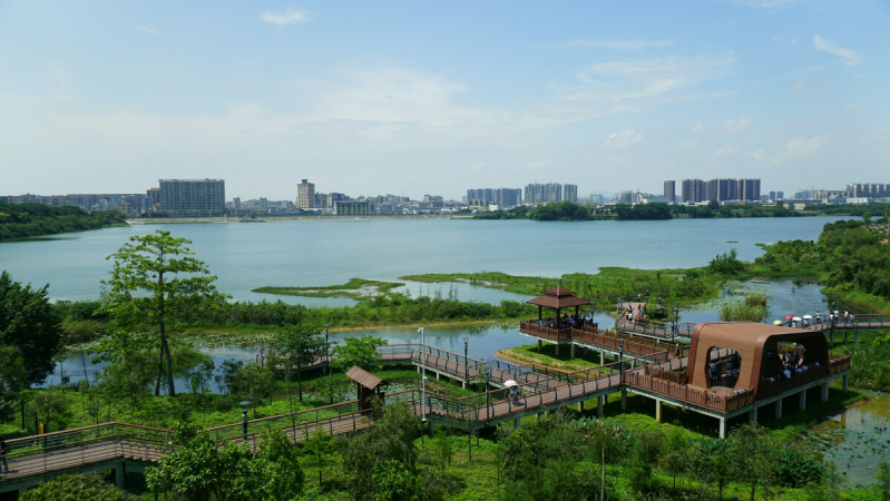盤點(diǎn)深圳十大最美公園，你最愛的是哪個(gè)公園？